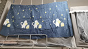 艾薇学生蚊帐宿舍 强遮光 单开门床帘蚊帐0.9米 摘星猫【上下铺通用】 实拍图