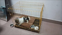 狗笼子中型大型犬室内带厕所边牧小型宠物笼狗狗拉布拉多金毛狗笼 【热销款】折叠款【61*42*50】适合15斤内 实拍图