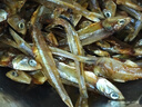 九味天 海燕鱼干500g 鱼干干货 小鱼干银鱼仔海鱼咸鱼干海鲜海产干货 海燕鱼干【一斤】 实拍图