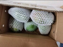 京鲜生 四川攀枝花凯特芒果 8.5斤 单果600g+ 生鲜水果源头直发 实拍图