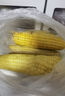 华田禾邦【大棒2根】东北黑糯玉米400g以上 新鲜甜黏玉米粒 早餐苞米 烧烤 实拍图