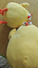 名创优品（MINISO）墩dun鸡系列毛绒公仔玩具卧室教室办公室睡觉抱枕生日礼物小号 实拍图