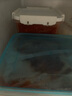 富爸爸白菜泡菜10斤/袋  整颗未切 韩式辣白菜泡菜下饭菜  实拍图