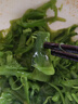 即食裙带菜 海草丝海藻沙拉开胃凉菜海白菜 酸甜裙带菜 200g*5袋 实拍图