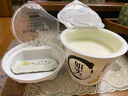 光明 100g*8  八连杯 原味  益生菌 酸牛奶 酸奶 实拍图