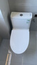 九牧（JOMOO）11173-2-1/31KB-3大力神家用马桶虹吸抗菌节水洁具305坑距 实拍图