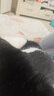 派迪诺（PAIDINUO）宠物猫咪营养排毛化毛套装猫用维生素片200片+猫草片300片 实拍图