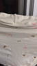 富妮来内裤女士纯棉裆女性抗菌短裤A类棉女款夏季薄款三角裤2026年新款 【A类棉 10A抑菌】奶黄+浅绿+天蓝 （灭菌独立包装） XL 【建议115-130斤】 实拍图