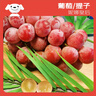 京鲜生 妮娜皇后葡萄 红酒风味 尝鲜装1-1.5斤 单果12g起 生鲜水果 实拍图