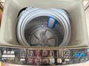 志高全自动波轮洗衣机家用智能洗脱一体小型大容量公寓宿舍出租房 波轮 20KG全自动【智能烘干+蓝光洗护+强劲电机】 实拍图