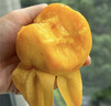 山东青州蜜桃新鲜桃子毛桃甜桃青桃硬桃孕妇脆甜应季水果冬雪 精选5斤【单果100g+】净重4.5斤 实拍图