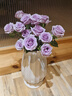 【玫瑰花】云南鲜花批发真花家用插瓶水养节日生日礼物鲜切花束 紫玫瑰18+2枝防损耗 实拍图