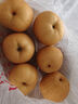 三萌果蔬山东秋月梨 当季新鲜脆甜冰糖梨子水果礼盒节日送礼 5斤精品果【单果300g起】净重4.5斤 实拍图