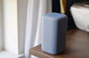 小米（MI）Xiaomi 智能音箱 蓝 超级小爱智能音箱 AI大模型问答 连续指令语控 支持远程备车 小米蓝牙音箱 实拍图