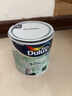 多乐士（Dulux）致悦竹炭抗甲醛五合一净味室内乳胶漆墙面抗菌油漆涂料白色 A8146 单桶 白漆 不可调色 1L*1件 实拍图