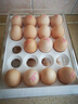欧乐多鸡蛋盒双层抽屉冰箱鸡蛋收纳盒鸡蛋盒子防震鸡蛋托盘鸡蛋储存盒 【两层可放40个鸡蛋】加厚 实拍图