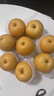 京地达山东莱阳秋月梨正宗梨子秋月梨新鲜水果4.5斤单果350g+源头发包邮 实拍图