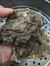 龙味福乳山生蚝鲜活到家牡蛎新鲜海蛎子火锅烧烤海鲜刺身 【不大-慎选】3XL带箱5斤(15-18只) 实拍图