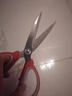 【热卖】德国不锈钢家用剪刀强力厨房剪肉多功能裁缝学生手工美工 【1把】德国进口红大号 实拍图