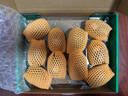 佳沛（zespri）新西兰  阳光金奇异果10粒礼盒巨大果单果约144-175g 水果 猕猴桃 实拍图