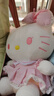 Hello Kitty三丽鸥毛绒玩具布娃娃玩偶钥匙扣中秋节礼物生日礼物 凯蒂猫公仔 实拍图
