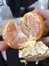 逢橘 橘正宗临海涌泉蜜桔当季新鲜水果橘子甜黄岩蜜橘无核桔子整箱10斤装 【7A】老树精选5斤装（带箱） 实拍图