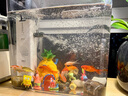 森森 小鲤鱼缸过滤器净水循环三合一内置水族箱过滤系统XQP-500F 6W 实拍图