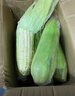 顾果鲜广西白糯牛奶玉米9斤新鲜现摘黏粘棒子带皮生苞米甜嫩农家自种 3斤 实拍图