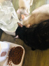 皇家LP34猫咪泌尿道处方猫粮溶解鸟粪石稀释尿液离子低饱和泌尿处方粮 皇家成猫泌尿（情绪舒缓）1.5KG 实拍图