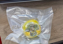 达派（dapai）德国真空封口机家用商用干湿两用全自动抽真空包装真空食品保鲜机塑封机抽腊肉真空封口 店长推荐【干湿两用】下单享袋子 实拍图
