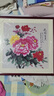 紫腾随轩新中式牡丹花开富贵装饰画客厅餐厅背景墙画卧室床头挂画壁画 图1 60*60cm红木色实木框 实拍图