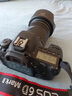 佳能（Canon）EOS 6D Mark II 6D2全画幅 专业单反相机 L级24-105标准镜头套装（约2620万像素/4K延时视频短片） 实拍图