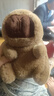 卡皮巴拉毛绒玩具公仔儿童生日礼物女孩情人节礼物水豚毛绒玩偶 卡皮巴拉公仔 2个装（新人专享） 实拍图