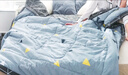 南极人抗菌可水洗纯棉纤维双拼被子 四季被200*230cm  实拍图