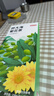 京东京造胖大海菊花茶150g(5g*30)咽喉伴侣可定制泡水喝养生茶茶叶团购 实拍图