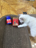 USPET英国乳钙片宠物钙猫咪狗狗关节幼老年怀孕产后犬猫促进发育宝骨骼 实拍图