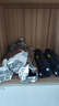 得力（deli）388A硒鼓 88a硒鼓适用惠普打印机HP P1008 P1106 P1108 M1136 M126a M126nw M128fn硒鼓 大容量4支 实拍图