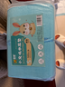 喜帅 宠物尿垫兔子龙猫豚鼠尿片尿垫小动物吸水兔笼用品S号100片/袋 实拍图
