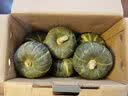 京鲜生 新疆薄皮185纸皮核桃 净5斤 奶香浓郁 新鲜坚果 源头直发 实拍图