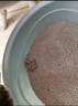 比亿奇猫砂膨润土无尘除臭猫砂多香味快速结团猫沙10kg猫咪用品 【升级矿砂混合】荒野玫瑰20斤装 实拍图