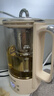 九阳（Joyoung）316L迷你养生杯养生壶煮茶器 0.6L办公室家用便携煮茶壶恒温烧水壶小型花茶壶K06D-WY530 实拍图