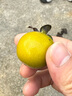 美菱（MeiLing） 饮水机 家用迷你制热型/冷热多用型台式桌面 饮水器 美菱经典款丨 温热型 丨轻奢台式推杯款 实拍图