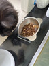 HELLOJOY猫碗狗碗304不锈钢猫食盆防打翻猫咪喝水碗保护颈椎增高宠物饭碗 实拍图