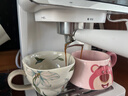 柏翠（petrus）冷萃咖啡机家用全半自动意式奶泡浓缩萃取冷热双萃PE3320A  新年礼物 实拍图