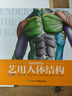 艺用人体结构（精装版）（全彩） 实拍图