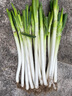 鲜来拉山东大葱铁杆去皮新鲜蔬菜3斤5斤裁半叶葱现挖现发大葱 5斤装 实拍图