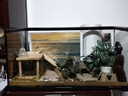 Barbarous Growth玻璃爬缸蜥蜴蛇甲虫乌龟陆龟爬宠爬虫角蛙饲养箱盒专用缸鱼缸 BT-10(50*30*25) 实拍图