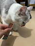 lorde里兜猫零食全价主食猫条成猫幼猫猫湿粮罐头海王猫条混合口味18支 实拍图