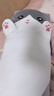 熊猫熊猫咪抱枕玩偶毛绒玩具女孩公仔大号布娃娃毕业礼物男孩送女朋友生日礼物女生陪睡觉抱枕夹腿长条成人1.3m 实拍图