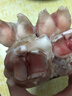 【顺丰】现杀土猪蹄10只带筋整只新鲜农家小香猪散养猪手猪脚前后 带筋土猪蹄1只【冷链速发】 实拍图